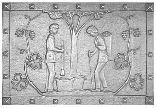 In den GM-Weinbergen